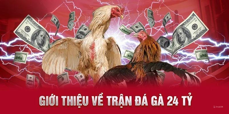 Tìm hiểu tính chân thực của trận đá đá gà 24 tỷ